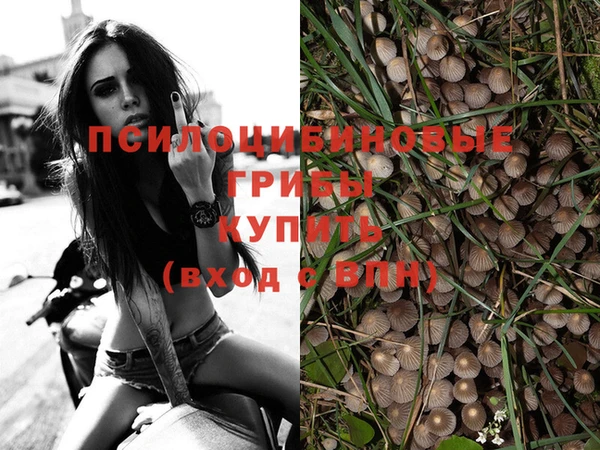 экстази Кинешма