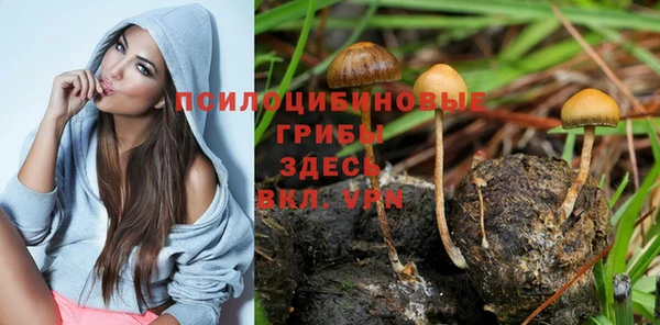 эйфоретик Киренск